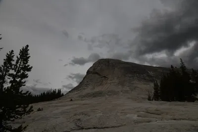 DSC_4436 (Large).JPG